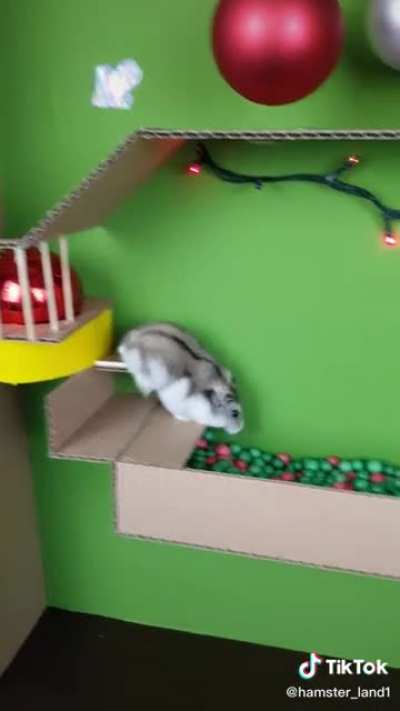 Hamster Christmas Maze