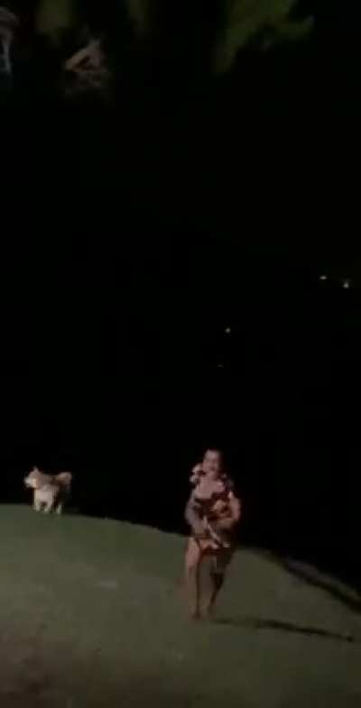 No time for the dog. RUN