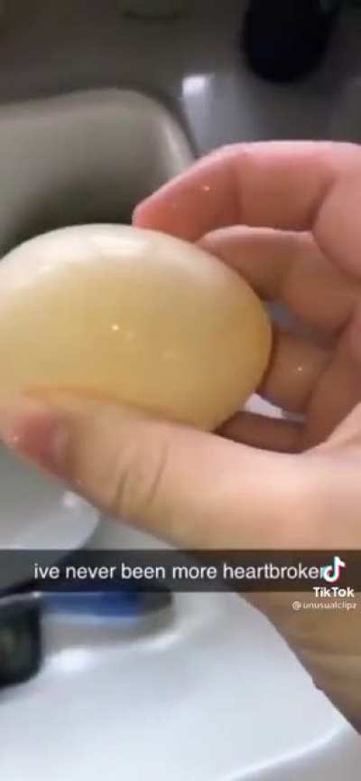 egg