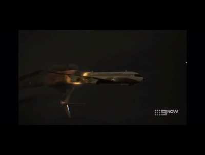 Baby gru causes a plane to crash