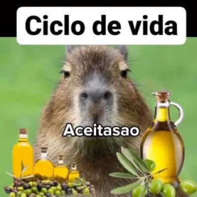 robado