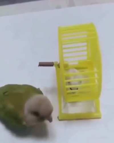Life is pain