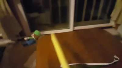 omg guys luigi vs pickle