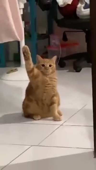 Heil Erika