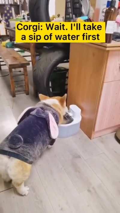 Maybe Maybe Maybe