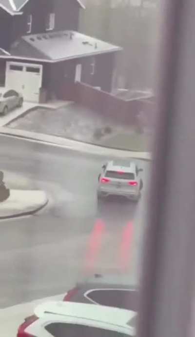Idiot on ice