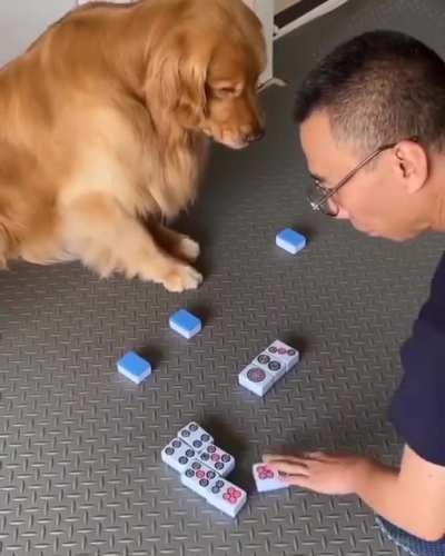Memory Matching