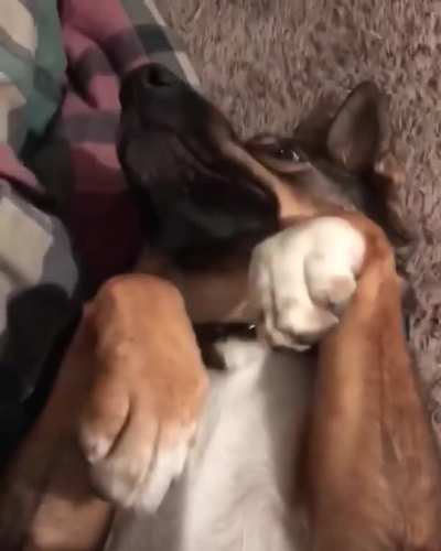 Where did it go?