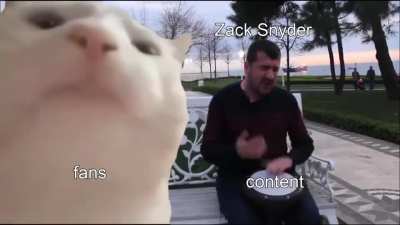HUMOR: Fans reacting to ZSJL content