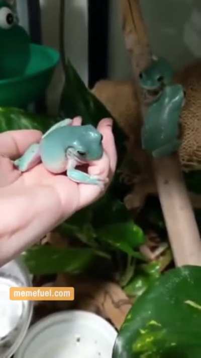 One tough worm