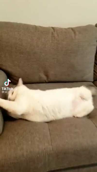 No one can stop Otis