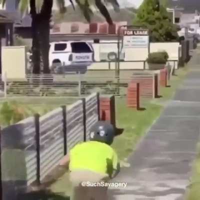 Zoomzoomzoom