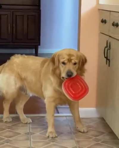 Busted 🐾