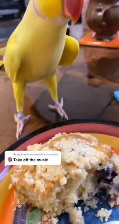 NosyBirb