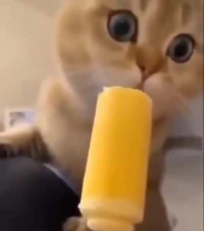 Perfect Loop