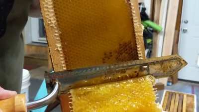 Honey Porn 2.0.....🤩🤪🥴