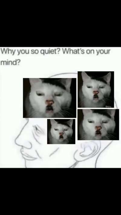 Singing German cat