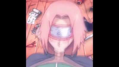 Sakura succ (18da<wbr>rt3/D<wbr>-ART)