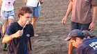 Man shoves straw into turtle's nose