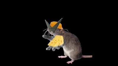 Ritz crackers