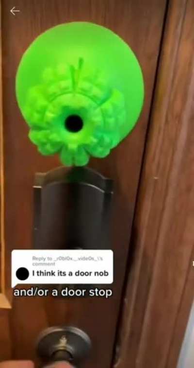 what is it for tho?