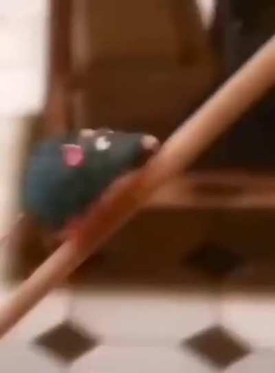 Ratatouille