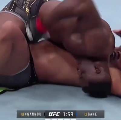 Ultimate Fighting Cock (UFC) 🍆👊