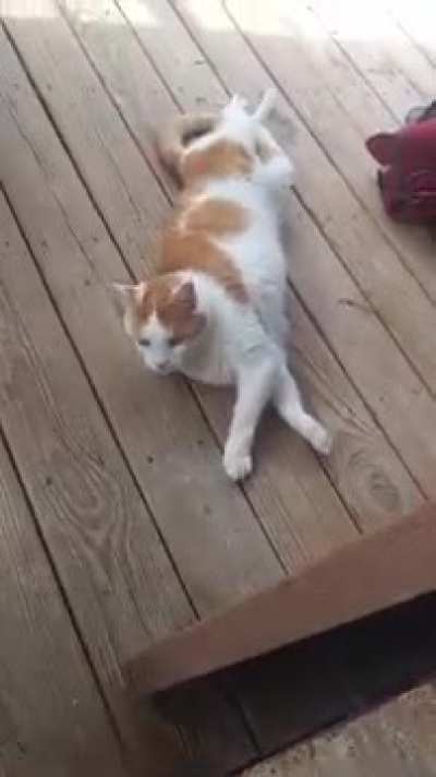 Get back here!