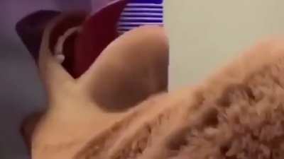 C u m