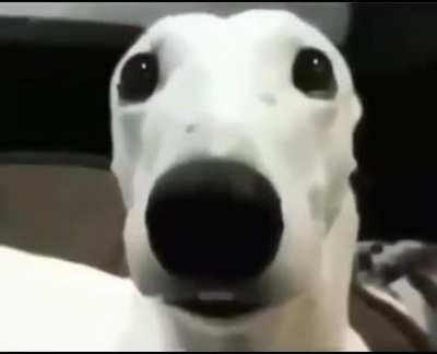 ¿Que paso con el grupo de discord?