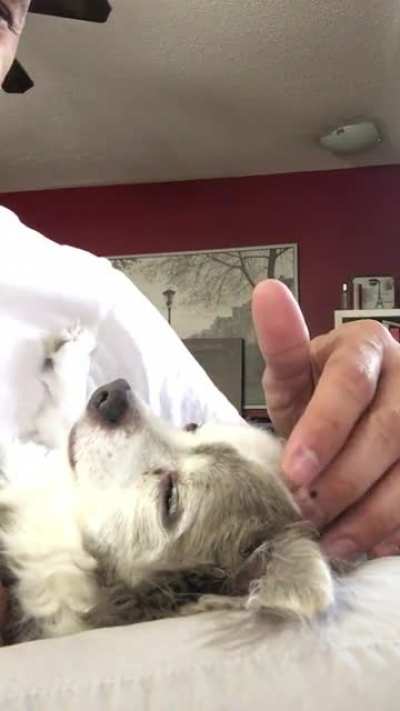 Truly spoiled...