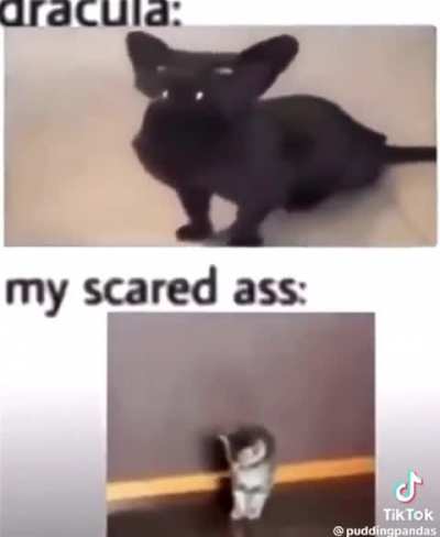 aaa