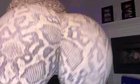 (@the<wbr>allam<wbr>erica<wbr>nbadg<wbr>irl)