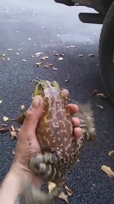 rrreeEEEEEEE