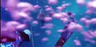 I think this might be the scariest underwater video I've seen so far