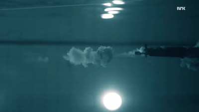 Norwegian physicist risk his life demonstrating laws of physics