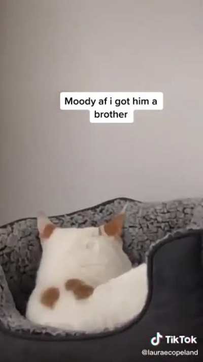He’s big mad