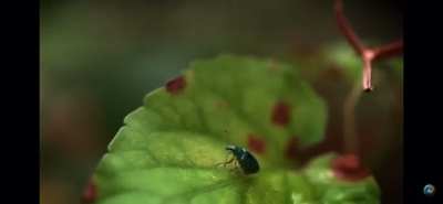 A single raindrop