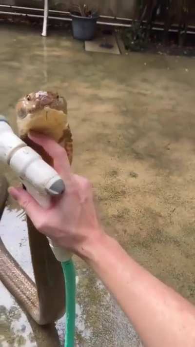 Water wunker (danger edition)