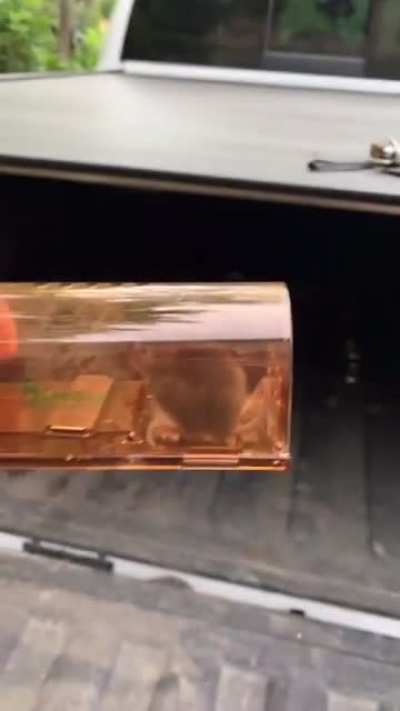 Relocating a mouse