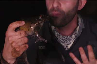 Froggie Fresh