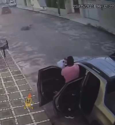 When car j@cking goes bad: man who wears stockings loses all his HP and his 