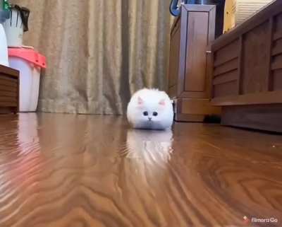Sneaky cloud