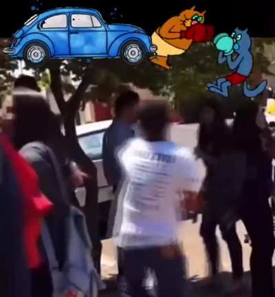Bora semear o caos