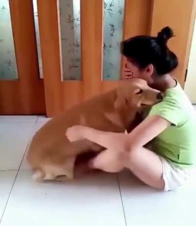 Service Dog in Action