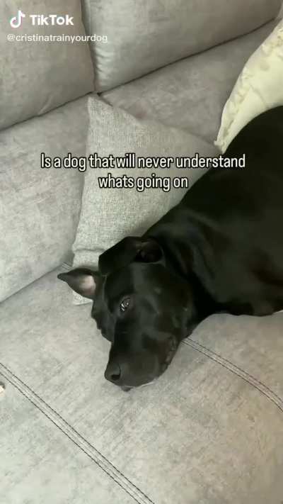 I dont know why I feel like I cheated on my dog after haha @cris<wbr>tinat<wbr>rainy<wbr>ourdo<wbr>g