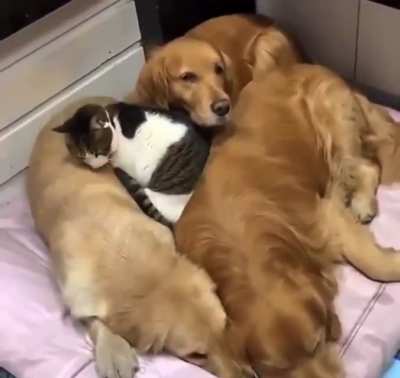 When you’re the last one to get in bed, but you still want the very best spot.