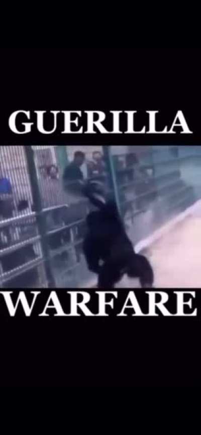 the time has come my brothers to revolt against the h*mans
