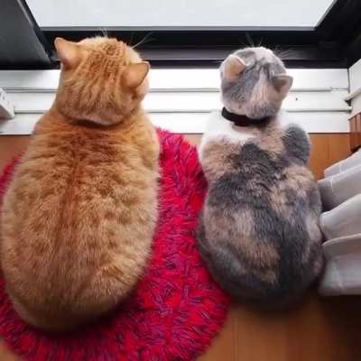 Can I sit next to you ?