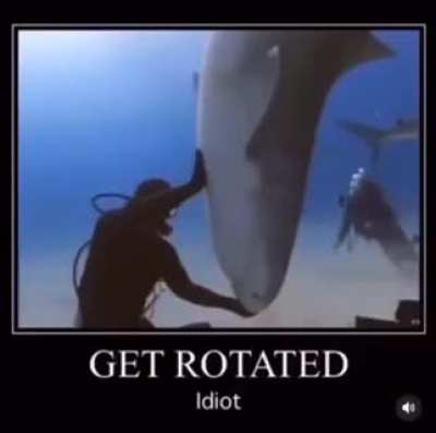 caiu no bait